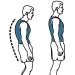 Corrector Spine Back Support Back Brace Support Belt Pain Relief for Neck Back Shoulders Adjustable Breathable Waist Straps Back (Size : X-Large) (X) - Buy Online on GoSupps.com