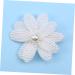 Angoily Hair Pin Hair Barrettes Hair Clip Kids Hairpin Hairpins Kids Barrette Bobby Pin Bride White Pearl Issue Card - Buy Online on GoSupps.com
