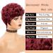 Burgundy Pixie Cut Curly Wig - Short Wave Red Hair Synthetic Wig for Black Women - Daily Use Burgundy Short Pixie Wig - Buy Online on GoSupps.com