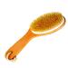 100% Natural Boar Bristle Body Brush with Wooden Handle by Spa Destinations Creating The In Home Spa Experience Best Quality! Best Value!