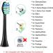 Philips Sonicare Compatible Toothbrush Replacement Heads - Black - Buy Online on GoSupps.com