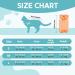 Avont Katzenbody for Cats - Post-Op Recovery Suit Leak Protection & Wound Care - Large Apricot - Buy Online on GoSupps.com