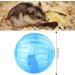 Hamster Ball TAIZER 2Pcs Hamster Run Ball Hamster Exercise Ball Hamster Exercise Wheel Mini Jogging Running Ball Plastic Pet Rodent Mice Gerbil Jogging Ball Funny Toy Small Animal Pet Exercise Playing - Buy Online on GoSupps.com