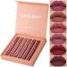 Dulele 6-Piece Velvety Matte Lip Gloss Set - Waterproof Durable Liquid Lipstick | Non-Stick Cup Makeup Cosmetics (Color A) - Buy Online on GoSupps.com
