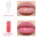 Gogogmee 2pcs Nourishing Lip Oil Moisturizing Plumping Lip Care Hydrating Essence Strawberry Flavors for Daily Use - Buy Online on GoSupps.com