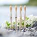 Shop Pandoo 4 SPARSET Eco-Friendly Bamboo Toothbrush | Vegan Organic BPA-Free | Medium to Soft for All Ages - Buy Online on GoSupps.com
