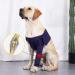 Denim Anti-Licking Protector Sleeve for Dog Front Leg Injury Recovery - XL - Buy Online on GoSupps.com