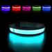 Masbrill luminous band dog charging dog collar luminous waterproof for small medium large dogs LED collar for dogs adjustable collar dog bright with 3 light modes black-l l (48-60cm/19-23.6inch) black (TC5200)