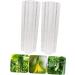 SUPVOX 2pcs Vegetable Shaping Mold Vegetables Fruit Vegetable Shape Mold Cucumber Mold Square Watermelon - Buy Online on GoSupps.com