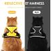 Breakproof Cat Leash Set & Adjustable Soft Kitten Vest - Reflective Stripes Yellow Size S | Durable Dishes for Small Kittens - Buy Online on GoSupps.com