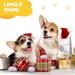Auauy Indoor Anti-Slip Socks for Dogs & Cats | Silicone Gel Paw Protection | Pet Socks in Black (M) - Perfect Traction for Small to Medium Pets - Buy Online on GoSupps.com