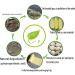 Trash Bags Biodegradable Waste Bin Liners Strong Trash Bag Compost Garbage Bag Fully Degradable for Kitchen Bathroom Bedroom - Buy Online on GoSupps.com