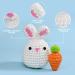 Beginner Crochet Kit: Rabbit & Carrot Stuffed Animal DIY Set with Video Tutorials - Buy Online on GoSupps.com