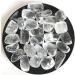 CIMWJOPS for 50g Natural White Rock Quartz Tumbled s Crystals Minerals Raw s and Minerals - Buy Online on GoSupps.com