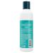 Jason Tea Tree Shampoo 12 oz - Natural Scalp Care & Hair Nourishment - Buy Online on GoSupps.com