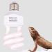 Dernord UVB & UVA Light Bulb 5.0 - 15W Compact UV Lamp for Lizards Geckos Turtles & Snakes - Ideal for Reptile Habitat - Buy Online on GoSupps.com