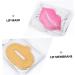 FRCOLOR Moisturizing Lip Mask 20 Pieces Collagen Lip Mask Set Lip Plumper Moisture Exfoliator Lip Care Mask Lip Membrane Random Style - Buy Online on GoSupps.com