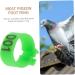 Amosfun 200 Pcs Pigeon Anklet Baby Things Baby Supplies Bird Ring Foot Ring for Pigeon to Open Xuan Feng 1.3X1.3CMx2pcs Greenx2pcs - Buy Online on GoSupps.com
