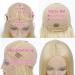Ali Panda HD 613 Blonde 20 Inch Lace Front Human Hair Wig for Black Women - 150% Density Straight T Part Blonde 613 Wig - Pack of 1 - Buy Online on GoSupps.com