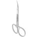 Cuticle Scissors Unique Curve of Handles Classic Blades Exclusive sx 20/1 Zebra Staleks - Buy Online on GoSupps.com