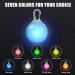 7-Piece LED Dog Light Pendants - Flashing Safety Collars for Dogs & Cats | Multi-Mode Luminous Pet Bands & Keychains for Kids & Joggers - Buy Online on GoSupps.com