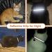 2 Pack Reflective Airtag Cat Neck Bands with Safety Buckle - Integrated Neck Tapes for Kittens & Puppies - Buy Online on GoSupps.com