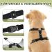 Slowton XS Black Dog Harness & Seat Belt for Car - Breathable Safety Harness for Everyday Sports - Ideal for Puppies - Buy Online on GoSupps.com