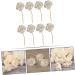 Villcase 8-Piece Wood Flower Rattan Sola Fragrance Oil Diffuser - Aromatherapy Home Scents & Spa Decor - Buy Online on GoSupps.com