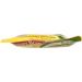 TASTY BITE Organic Ancient Grains - 8.8 Oz | Nutritious Superfood Blend - Buy Online on GoSupps.com