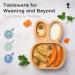 Tiggi Bamboo Baby Suction Plate Set - Non-Slip Eco-Friendly Bamboo Plates for Babies and Toddlers (Rabbit Blue) - Buy Online on GoSupps.com