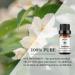 Organic Gardenia & Jasmine Essential Oils Set - 100% Pure Aromatherapy Oils for Diffusers, Humidifiers, Soaps, Candles - 2x10ml (Pack of 1) - Buy Online on GoSupps.com