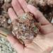 Natural Red Aragonite Quartz Crystal Cluster Shape Rough Stone Cluster Nepheline Specimen 1pcs Reiki Crystal Stone (Size : 51-70g 1pc) - Buy Online on GoSupps.com