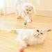 Wloom Power Ball 2.0 Cat Toy Aiveys Cat Ball Aiveys Smart Ball Cat Zombie Balls for Cats Playtime Gertar Cat Toy (Blue) - Buy Online on GoSupps.com