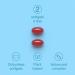 Vegan Omega 3 Capsules - High Strength DHA from Algae Oil with Flaxseed & Astaxanthin - 60 Easy Swallow Softgels - Sustainable Vegetarian Supplements - Buy Online on GoSupps.com