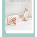 Miagon Ours Miroir Support Brillant Coque pour Xiaomi Redmi Note 11 Glitter Transparent Sable Mouvant tui Paillette Housse de Protection avec Miroir B quille Stand Vert Xiaomi Redmi Note 11 Vert - Buy Online on GoSupps.com