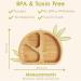 Munchkin Bambou Divided Plate - Stay Put Suction Plate for Babies & Toddlers | BPA Free Bamboo Plate for Baby Weaning | Kids' Mealtime Essential - Buy Online on GoSupps.com