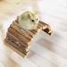 2-Piece Hamster Climbing Toys - Wooden Ladder & Pet Bridge for Hamsters Mice Parrots Hedgehogs & More - Buy Online on GoSupps.com