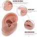 Buy Minkissy Silicone Human Right Ear Model | Fake Ear for Piercing & Acupuncture Simulation | 6.5x3.5 cm - Ideal for Body Part Ads - Buy Online on GoSupps.com