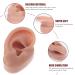 Kichvoe Piercing Kit - Silicone Human Ear Model Display - Right Ear Piercing Tools for Teaching and Practice - Buy Online on GoSupps.com
