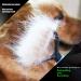 2-in-1 Dog and Cat Brush for Deshedding Thick, Medium, Long, Curly, and Wiry Hair - Grooming Tool for Mats, Tangles, and Dematting - Say Goodbye to Shedding and Flying Hair - Buy Online on GoSupps.com