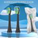 YMPBO 10PCS Replacement Heads for 7AM2M Electric Toothbrush + 30PCS Dental Floss Picks + Holder - Buy Online on GoSupps.com