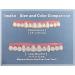 Imako Cosmetic Teeth 1 Pack (Large Bleached) - DIY Smile Makeover! Uppers Only - Flat Fit at Home Kit - 1 Count - Buy Online on GoSupps.com
