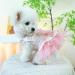 BT Bear Smally Disching Retro Tutu Dress for Cats & Small Dogs | Pups Rock Princess Dress for Weddings | Pink Medium - Buy Online on GoSupps.com