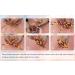 Eppingwin Beads Assortment Medium Pack - 800 Classic + 300 Color Changing Beads - Buy Online on GoSupps.com
