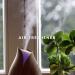 SenseLAB Bergamot Essential Oil - 100% Pure Therapeutic Grade Extract for Diffuser, Humidifier & Hair Care - Citrus Fragrance Oil - 10ml - Buy Online on GoSupps.com