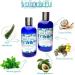 99% Natural HAIR GROWTH SHAMPOO - ALOE VERA CASTOR AVOCADO & MINT 250ml by VERDEBLEU No Sulfates Parabens. PH Balanced. We Donate 5% of Profits to Save the Rainforests - Buy Online on GoSupps.com