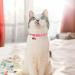VKPETFR Breakaway Cat Collars with Bell & Cute Pendants - 3 Pack Adjustable Safety Kitten Collars - Ideal Decoration for Girl Boy Cats, Puppies, and Small Pets - Buy Online on GoSupps.com