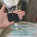 Sensory Chew Necklace for Kids and Adults - Silicone Dog Tag Pendant for Autism ADHD SPD PICA - Fidget Chewable Necklaces (Black) - Buy Online on GoSupps.com