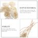 Yarnow Fragrance Glass Empty Diffuser Sticks - 8-Part Rattan Flower-Shaped Replacement for Essential Oils - Home Room Scent - White - Buy Online on GoSupps.com