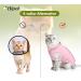 Buy Hipet Cat Surgical Recovery Suit for Belly Wounds | Anti-Licking Onesie Vest Shirt (M Pink) - Replacement E-Collar and Cone - Buy Online on GoSupps.com